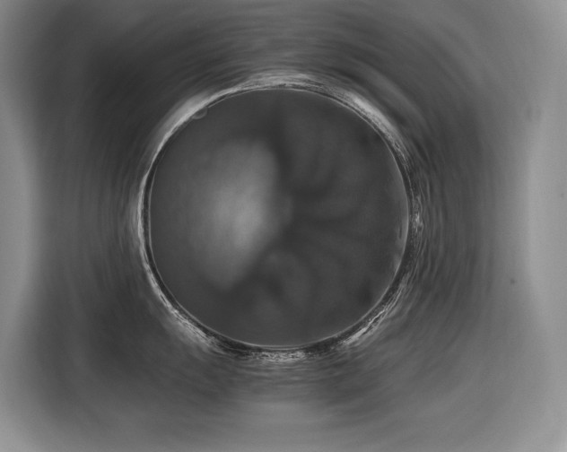 X0000116421055200912081500