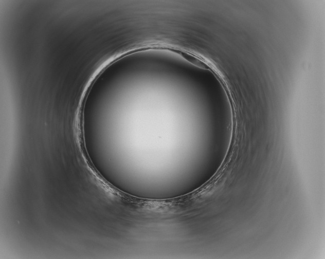 X0000116421056200912081500