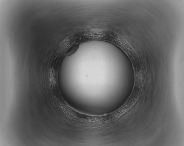 X0000116421058200912081459