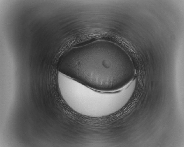 X0000116421060200912081459