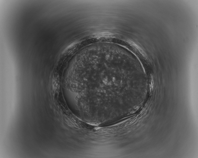 X0000116421063200912081459
