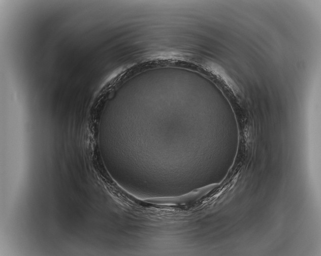 X0000116421064200912081459