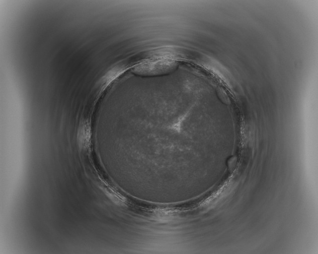 X0000116421065200912081459