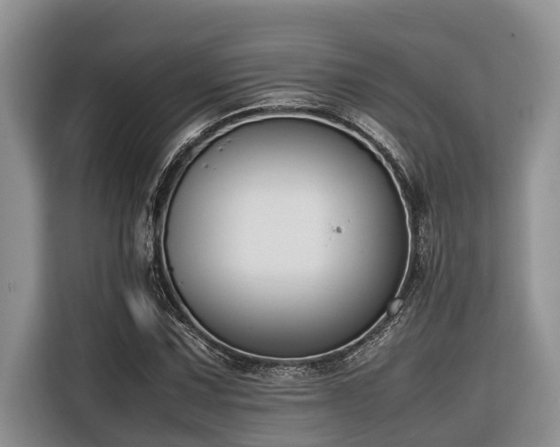 X0000116421067200912081459