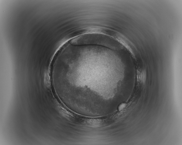 X0000116421068200912081459