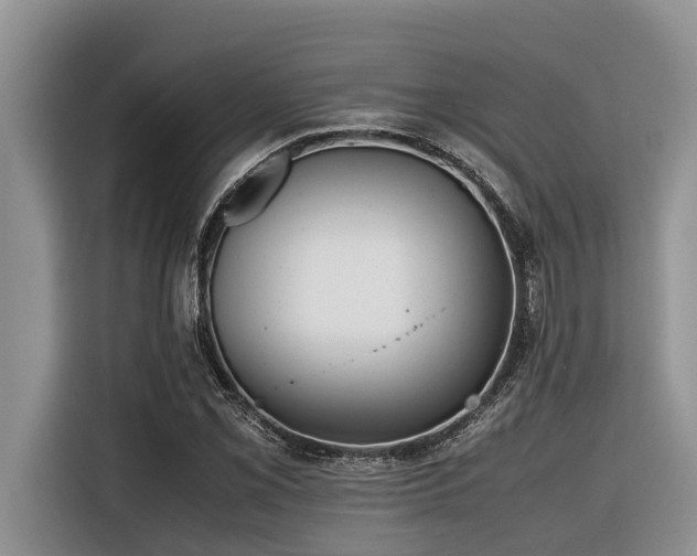 X0000116421069200912081459