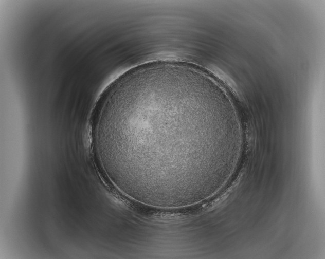 X0000116421070200912081459