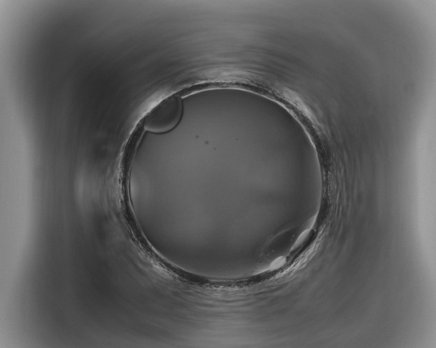 X0000116421071200912081459