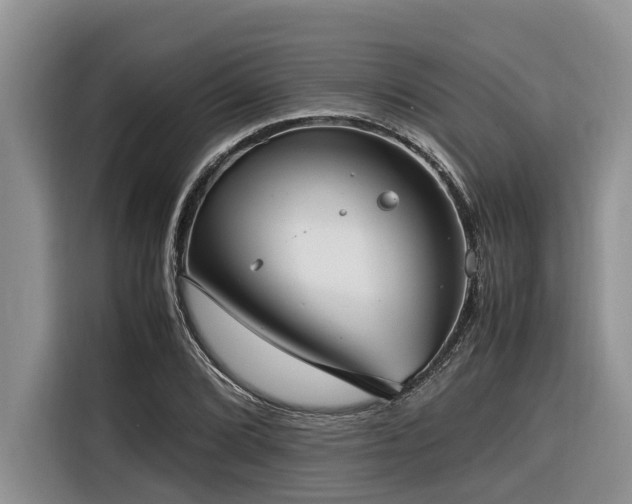X0000116421072200912081459