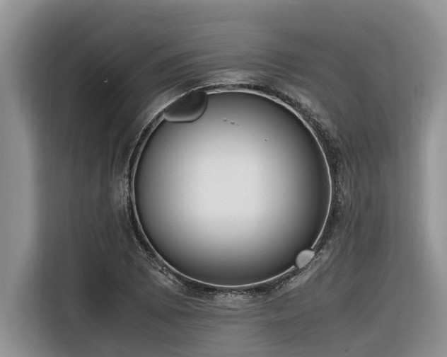 X0000116421073200912081459
