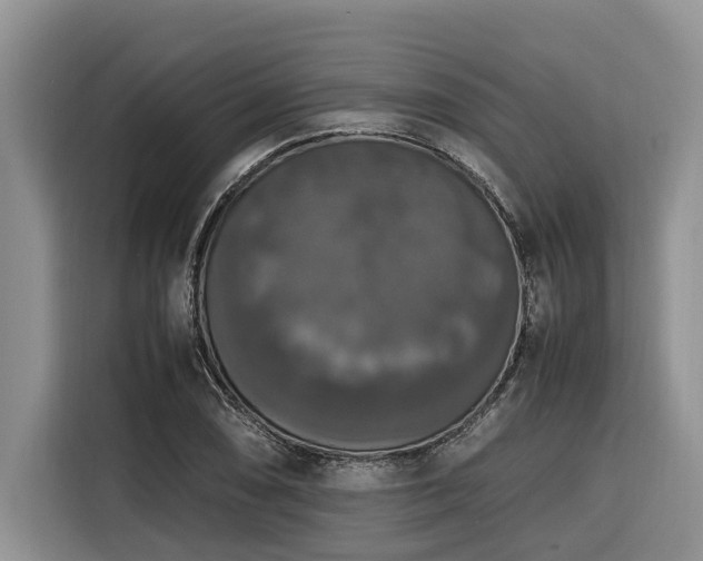 X0000116421074200912081459