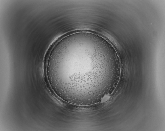 X0000116421076200912081459