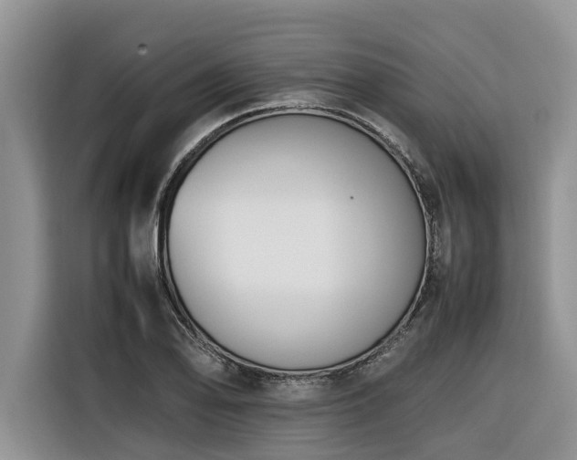 X0000116421078200912081459