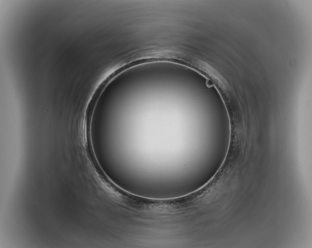 X0000116421079200912081459