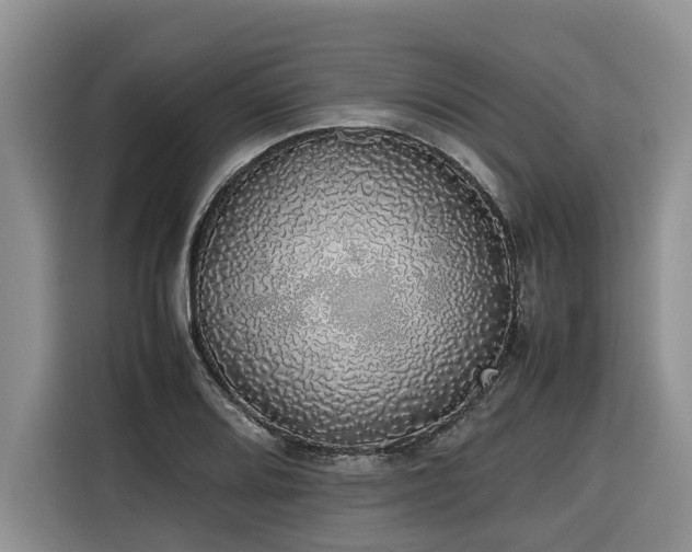 X0000116421080200912081459