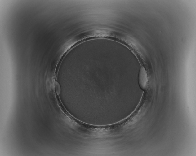 X0000116421081200912081459