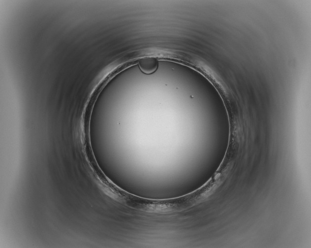 X0000116421082200912081459