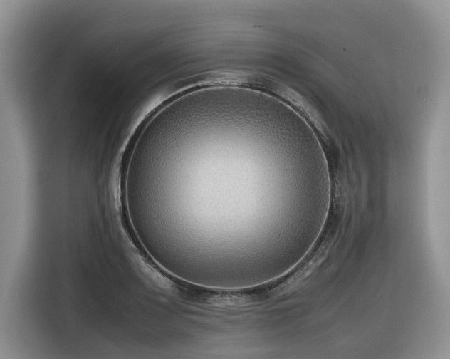 X0000116421083200912081459