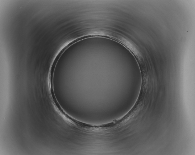 X0000116421084200912081459