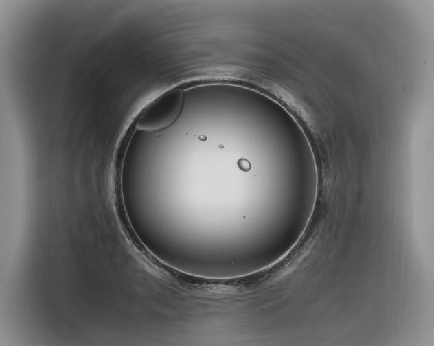 X0000116421085200912081459