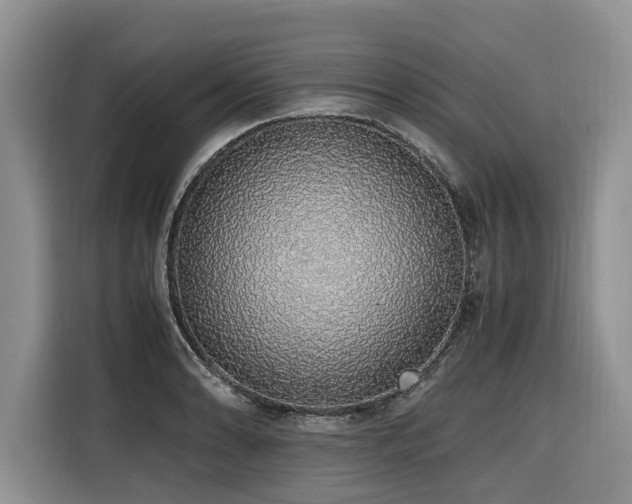 X0000116421086200912081459