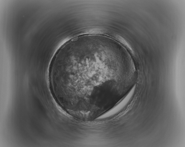 X0000116421087200912081459