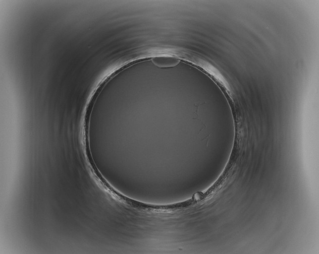X0000116421088200912081459