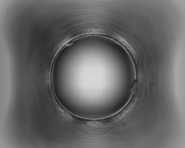 X0000116421089200912081459