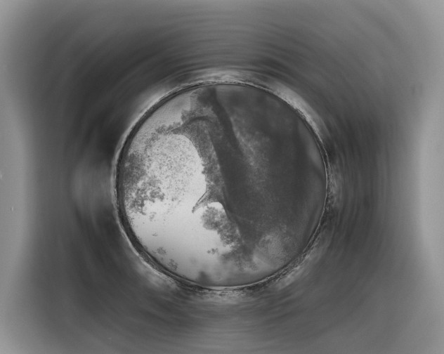 X0000116421090200912081459