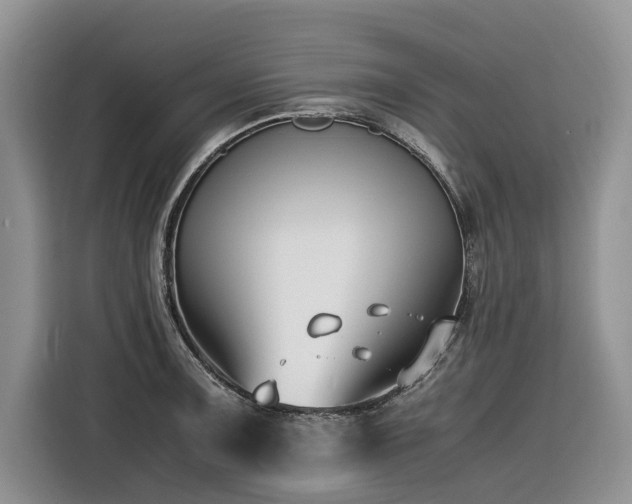 X0000116421091200912081459
