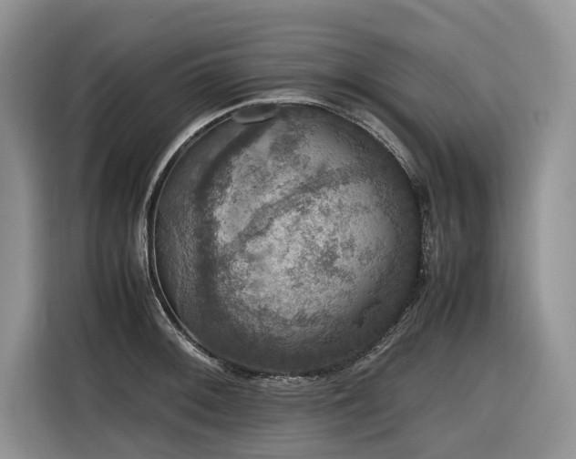 X0000116421092200912081459