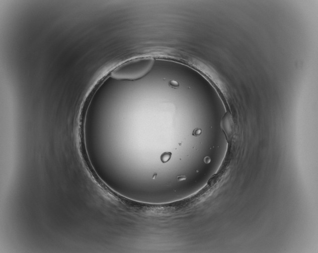 X0000116421093200912081459