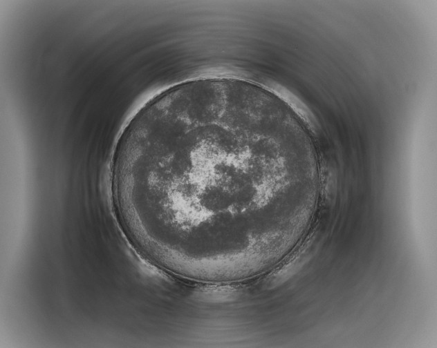 X0000116421094200912081459