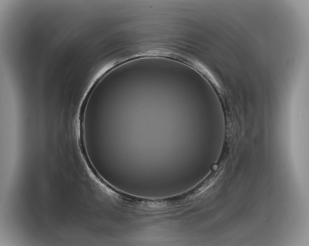 X0000116421095200912081459