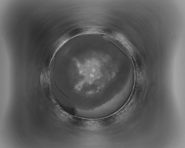 X0000116421097200912081459