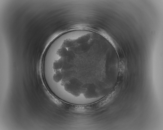 X0000116421098200912081459