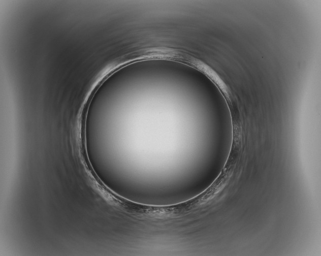 X0000116421099200912081459