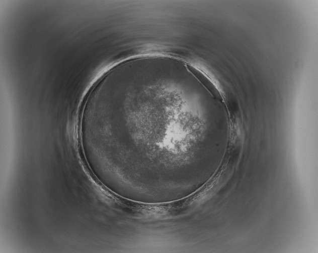 X0000116421101200912081459