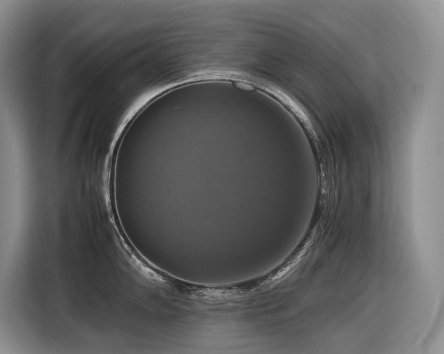 X0000116421102200912081459