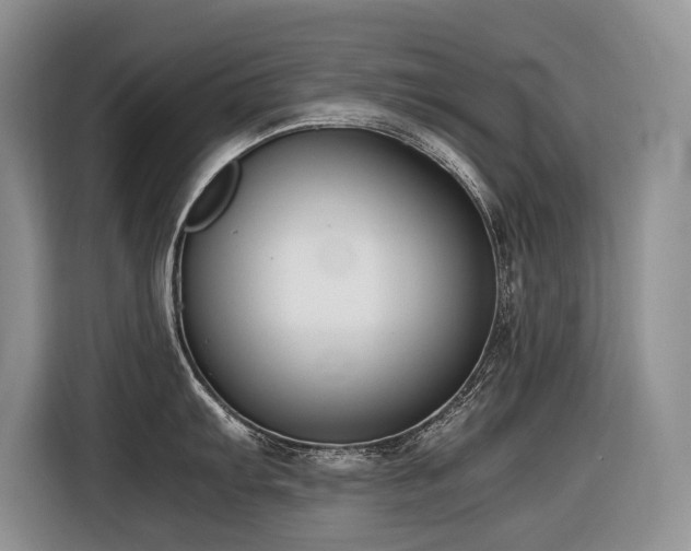 X0000116421103200912081459
