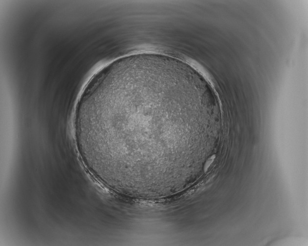 X0000116421104200912081459