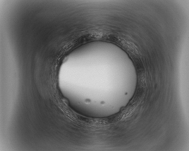 X0000116421105200912081458