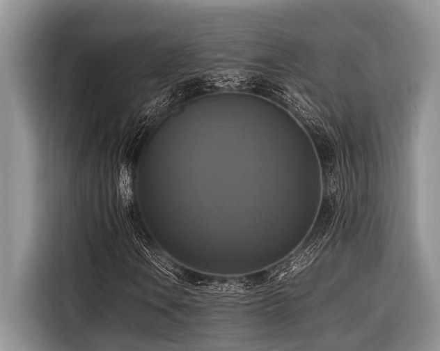 X0000116421106200912081458