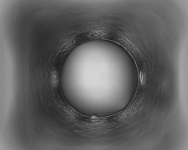 X0000116421107200912081458