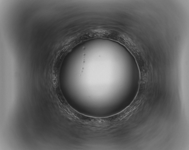 X0000116421109200912081458