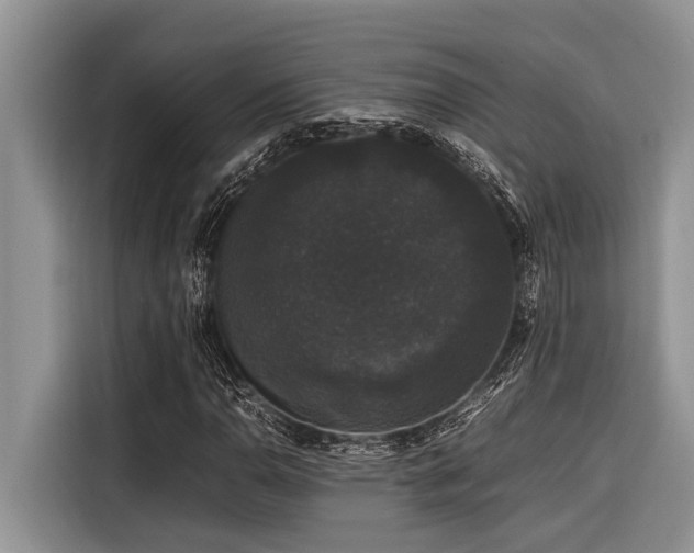 X0000116421110200912081458