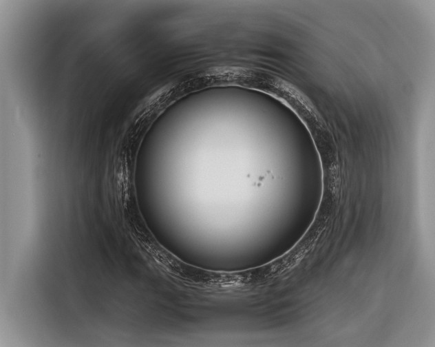 X0000116421111200912081458