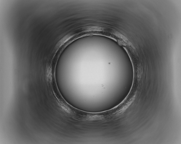 X0000116421113200912081458