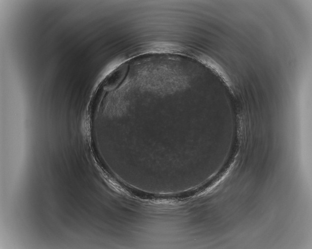 X0000116421114200912081458