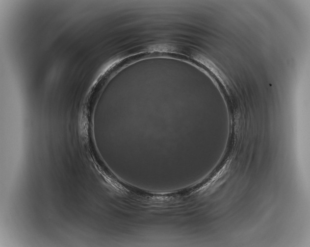 X0000116421115200912081458